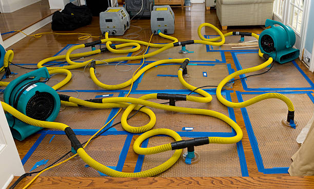 Professional Water Extraction technician working in Winterthur, DE